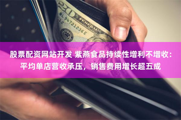 股票配资网站开发 紫燕食品持续性增利不增收：平均单店营收承压，销售费用增长超五成