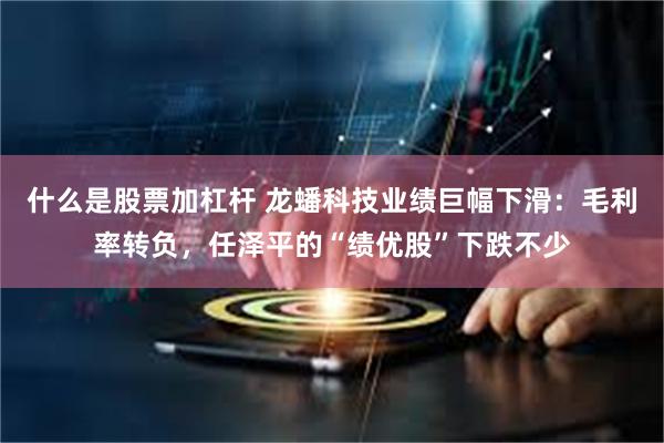 什么是股票加杠杆 龙蟠科技业绩巨幅下滑：毛利率转负，任泽平的“绩优股”下跌不少