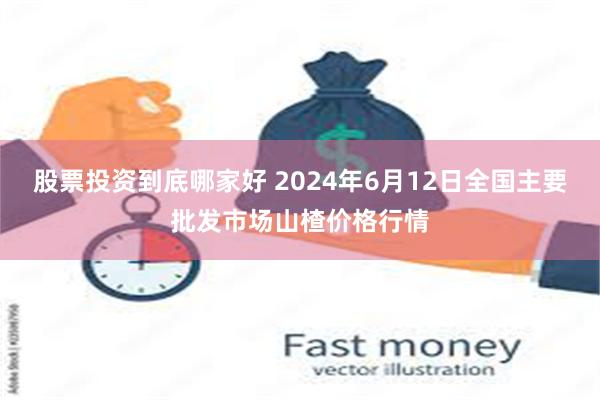 股票投资到底哪家好 2024年6月12日全国主要批发市场山楂价格行情