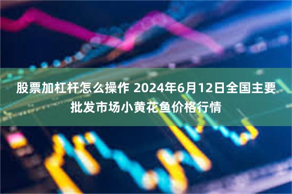 股票加杠杆怎么操作 2024年6月12日全国主要批发市场小黄花鱼价格行情