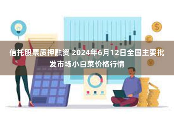 信托股票质押融资 2024年6月12日全国主要批发市场小白菜价格行情