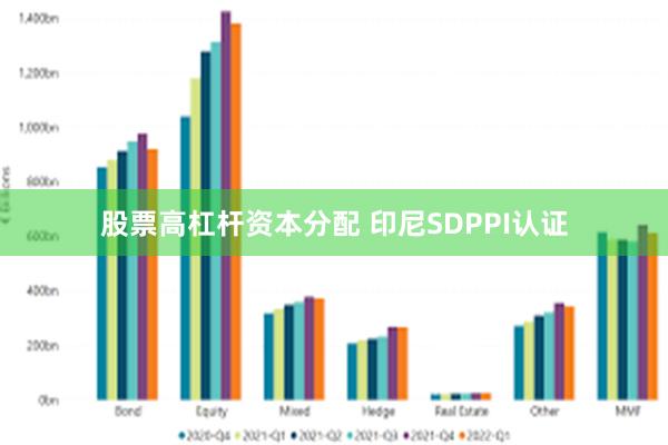 股票高杠杆资本分配 印尼SDPPI认证