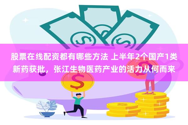 股票在线配资都有哪些方法 上半年2个国产1类新药获批，张江生物医药产业的活力从何而来