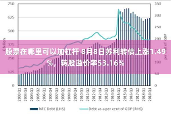 股票在哪里可以加杠杆 8月8日苏利转债上涨1.49%，转股溢价率53.16%