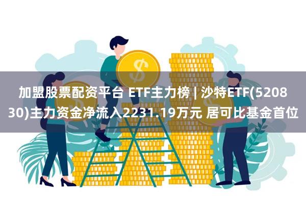 加盟股票配资平台 ETF主力榜 | 沙特ETF(520830)主力资金净流入2231.19万元 居可比基金首位