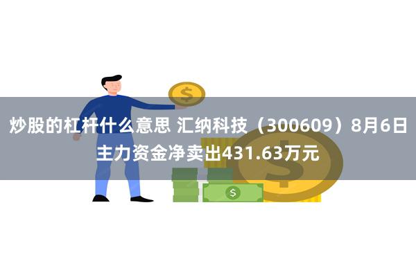 炒股的杠杆什么意思 汇纳科技（300609）8月6日主力资金净卖出431.63万元