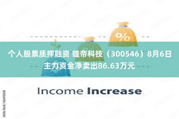 个人股票质押融资 雄帝科技（300546）8月6日主力资金净卖出86.63万元