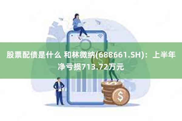 股票配债是什么 和林微纳(688661.SH)：上半年净亏损713.72万元