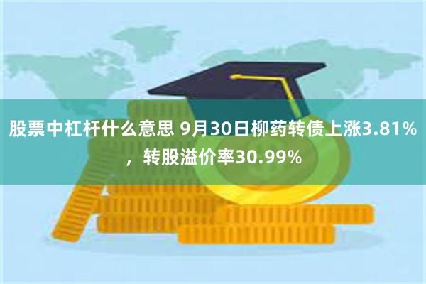 股票中杠杆什么意思 9月30日柳药转债上涨3.81%，转股溢价率30.99%