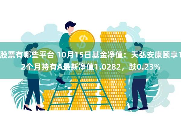 股票有哪些平台 10月15日基金净值：天弘安康颐享12个月持有A最新净值1.0282，跌0.23%