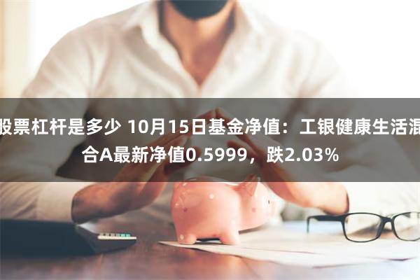 股票杠杆是多少 10月15日基金净值：工银健康生活混合A最新净值0.5999，跌2.03%