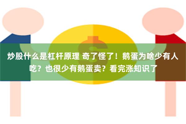 炒股什么是杠杆原理 奇了怪了！鹅蛋为啥少有人吃？也很少有鹅蛋卖？看完涨知识了