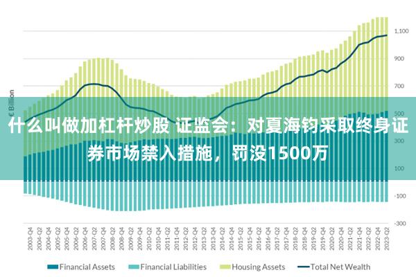 什么叫做加杠杆炒股 证监会：对夏海钧采取终身证券市场禁入措施，罚没1500万