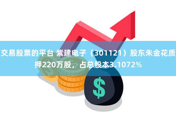 交易股票的平台 紫建电子（301121）股东朱金花质押220万股，占总股本3.1072%