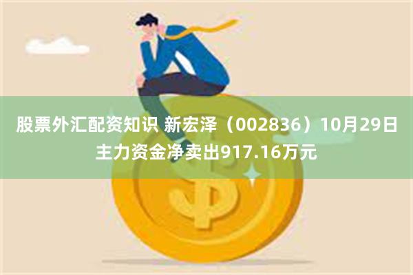 股票外汇配资知识 新宏泽（002836）10月29日主力资金净卖出917.16万元