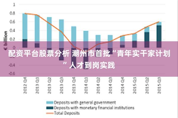 配资平台股票分析 潮州市首批“青年实干家计划”人才到岗实践