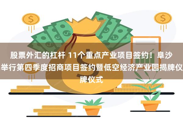 股票外汇的杠杆 11个重点产业项目签约！阜沙镇举行第四季度招商项目签约暨低空经济产业园揭牌仪式