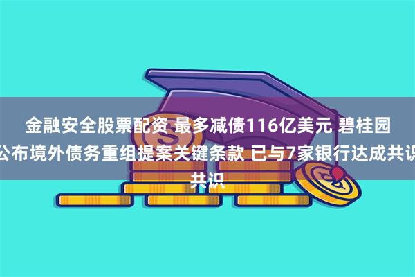 金融安全股票配资 最多减债116亿美元 碧桂园公布境外债务重组提案关键条款 已与7家银行达成共识