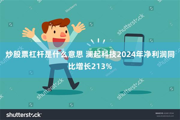 炒股票杠杆是什么意思 澜起科技2024年净利润同比增长213%