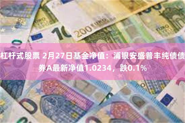 杠杆式股票 2月27日基金净值：浦银安盛普丰纯债债券A最新净值1.0234，跌0.1%